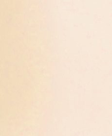 СТАНДАРТ 2259 бежевый